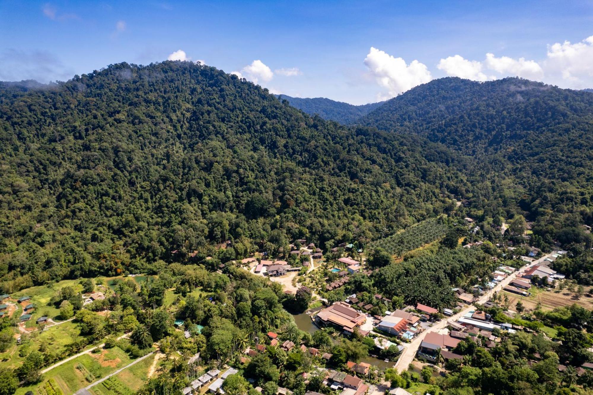 Khaosok Rainforest Resort Khao Sok National Park Dış mekan fotoğraf